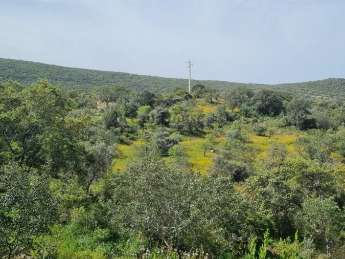 Terreno para Venda em Loule (São Clemente) Foto 17