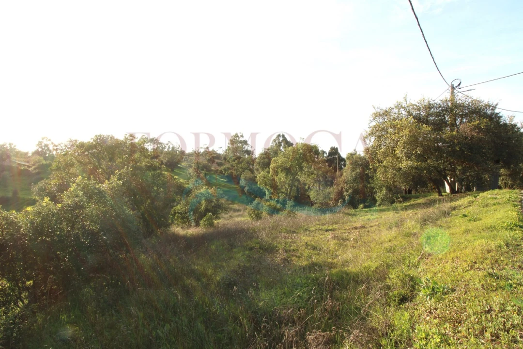 Terreno para Venda em São Brás de Alportel Foto 6
