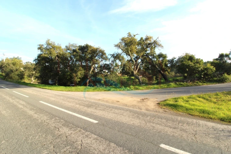 Terreno para Venda em São Brás de Alportel Foto 4