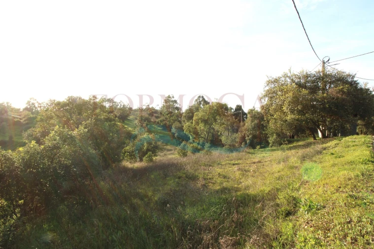 Terreno para Venda em São Brás de Alportel Foto 6