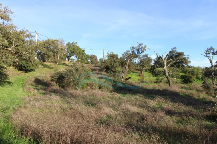 Terreno para Venda em São Brás de Alportel Foto 8