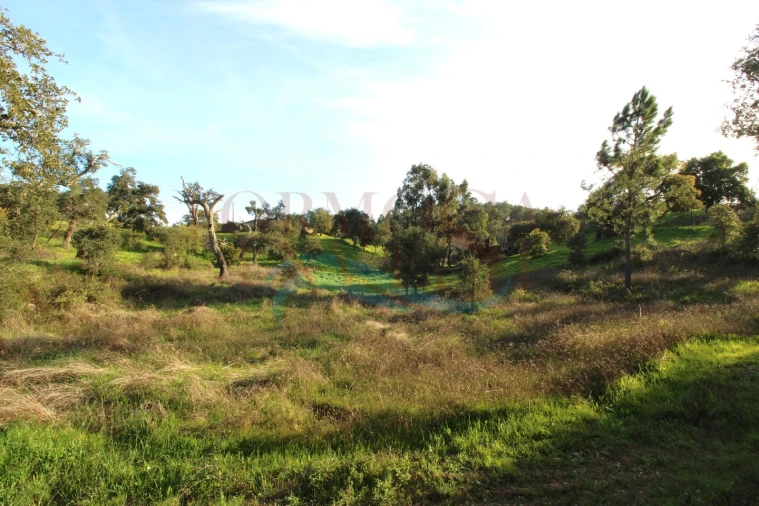 Terreno para Venda em São Brás de Alportel Foto 5