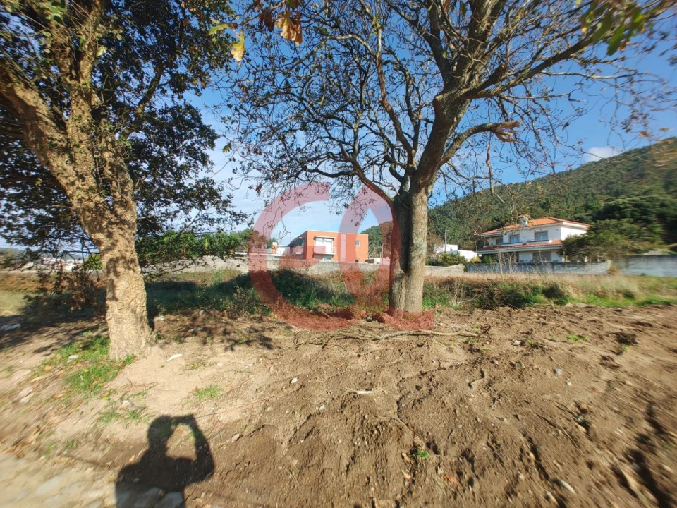 Terreno para Venda em Carreço Foto 4