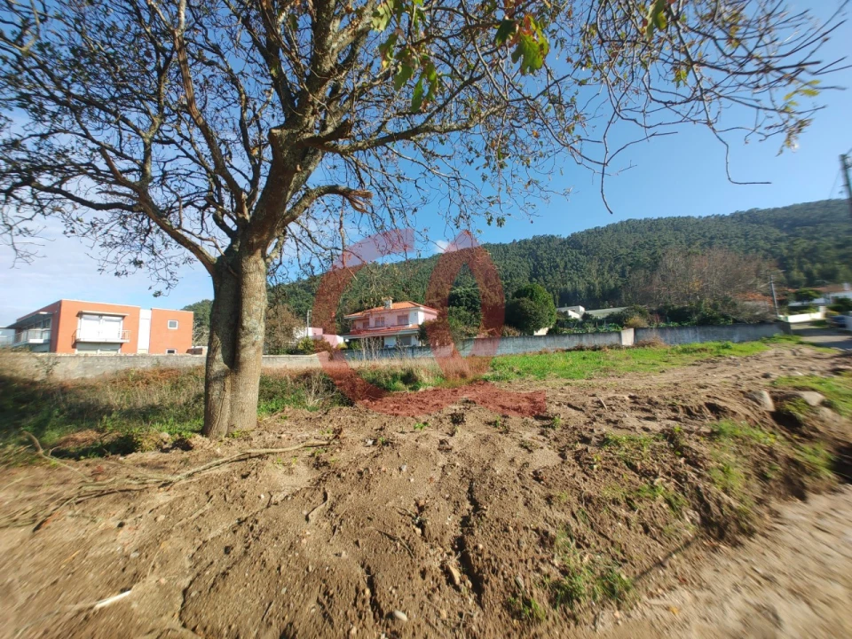 Terreno para Venda em Carreço Foto 9