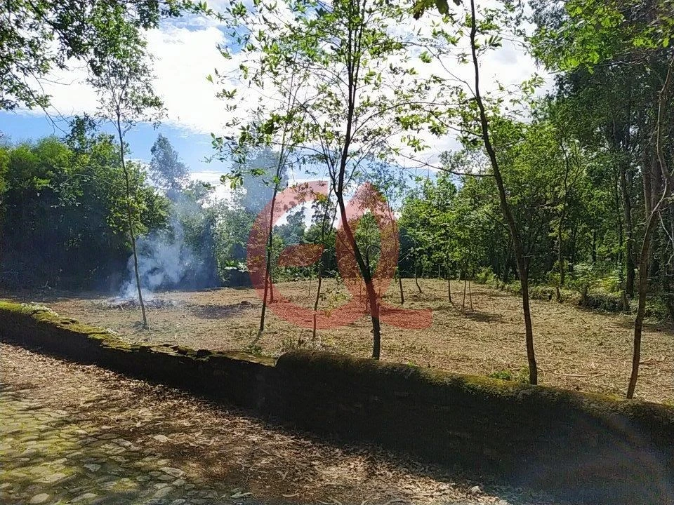 Terreno para Venda em Seixas Foto 3