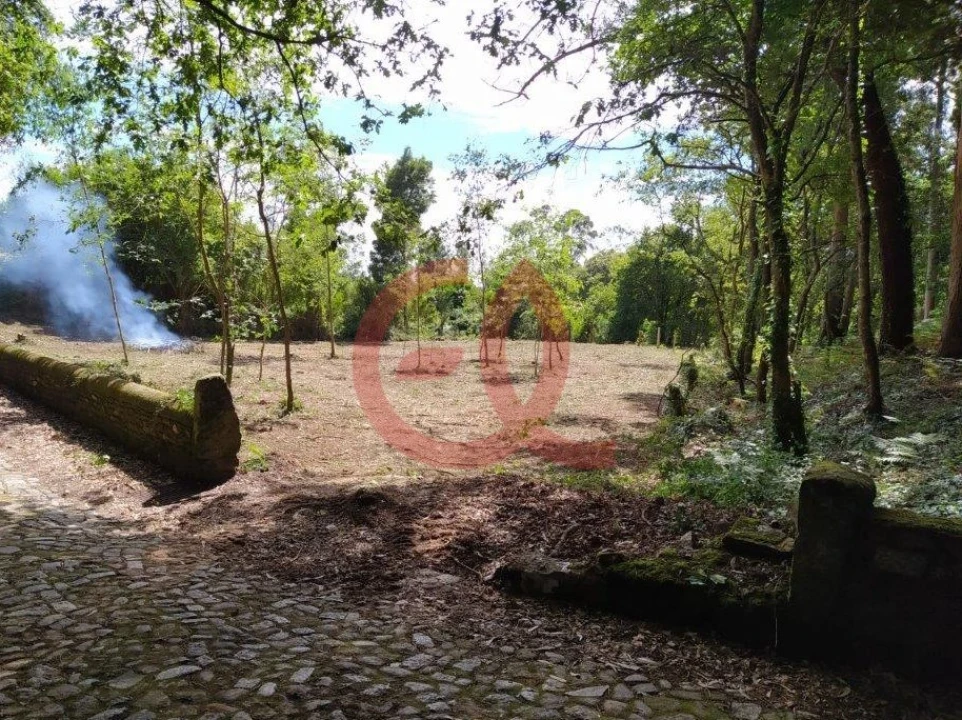 Terreno para Venda em Seixas Foto 2