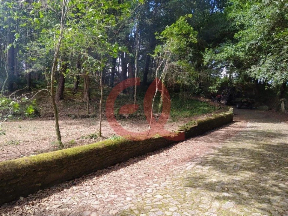 Terreno para Venda em Seixas Foto 7