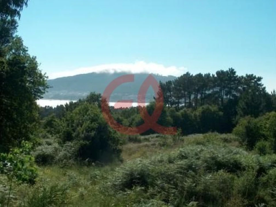 Terreno para Venda em Seixas Foto 9