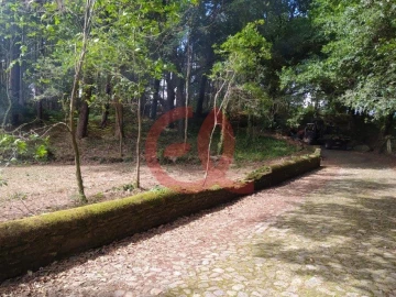 Terreno para Venda em Seixas