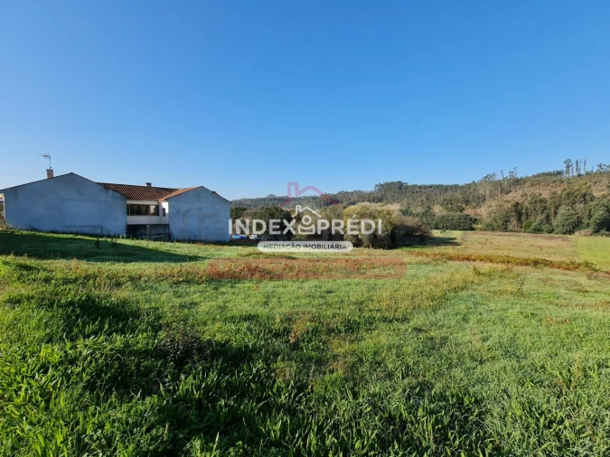 Terreno para Venda em Trofa, Segadães e Lamas do Vouga Foto 5