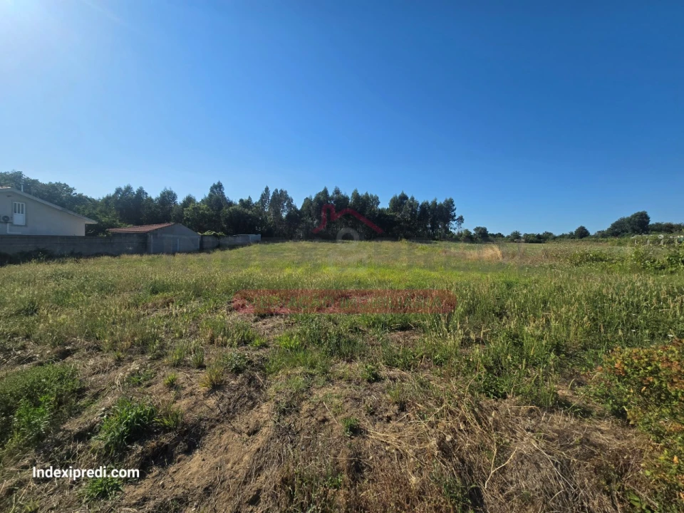 Terreno para Venda em Oiã Foto 1