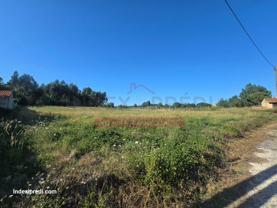 Terreno para Venda em Oiã Foto 4