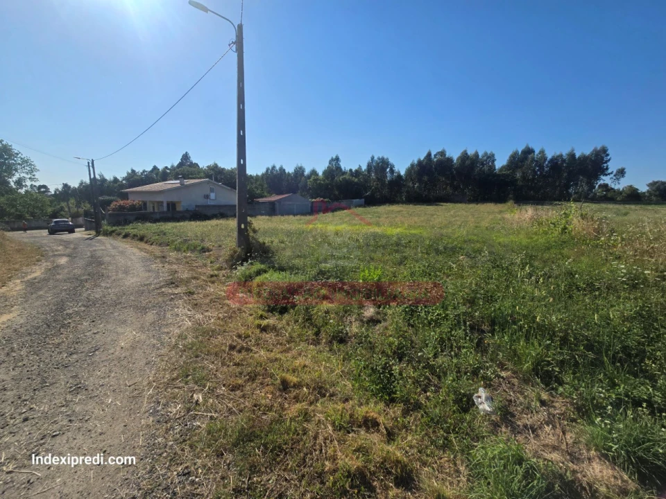 Terreno para Venda em Oiã Foto 5