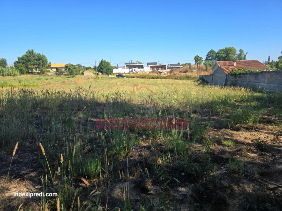 Terreno para Venda em Oiã Foto 6