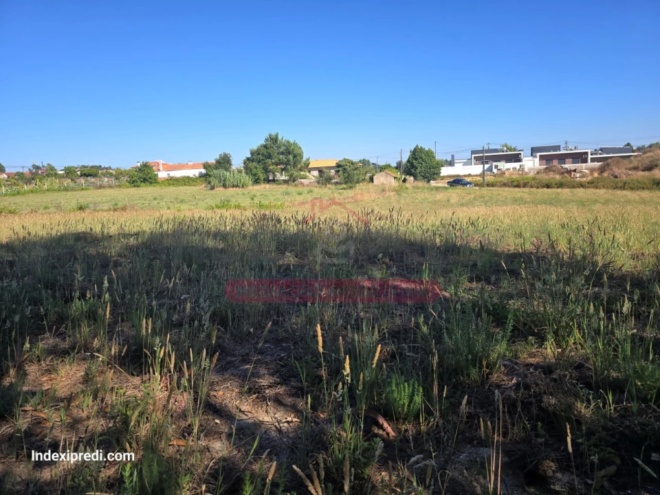 Terreno para Venda em Oiã Foto 7