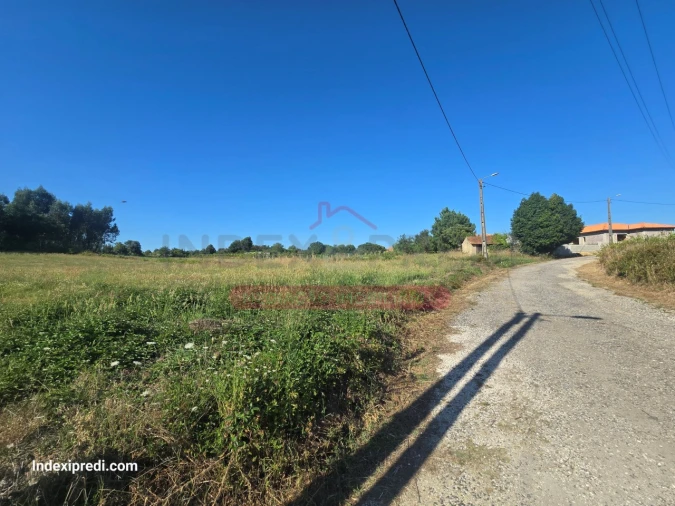 Terreno para Venda em Oiã Foto 2