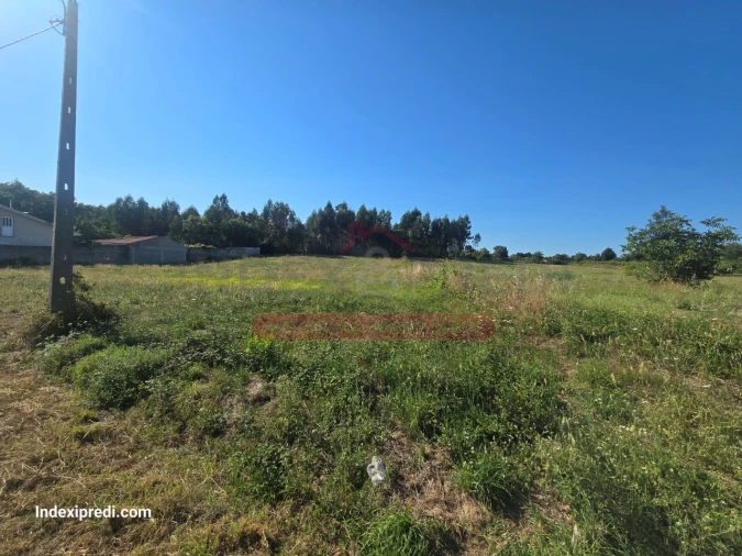Terreno para Venda em Oiã Foto 3