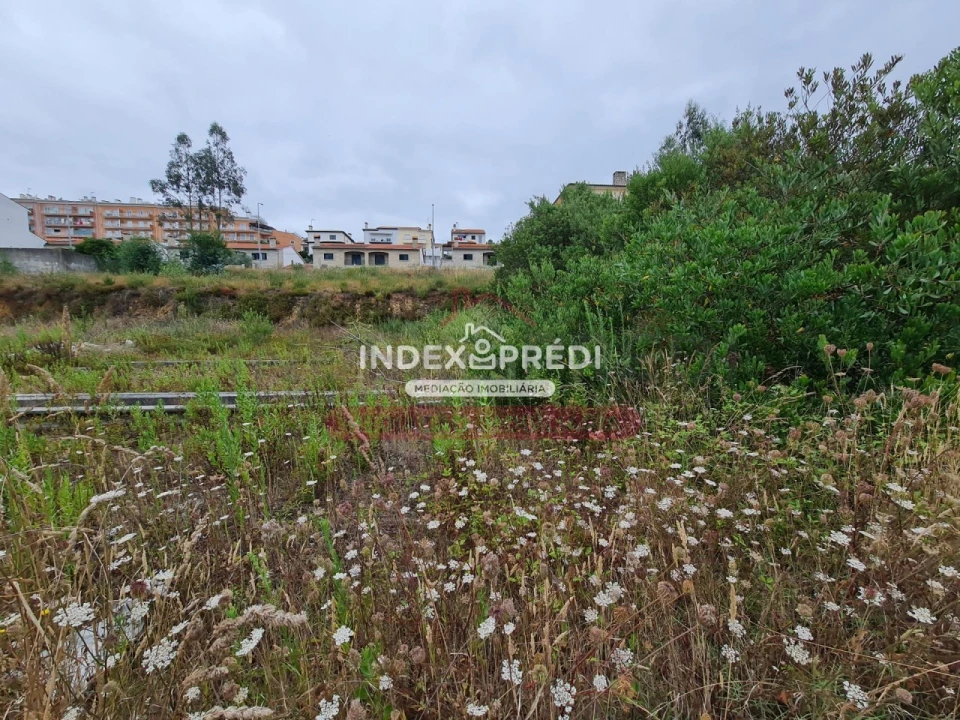 Terreno para Venda em Águeda e Borralha Foto 3