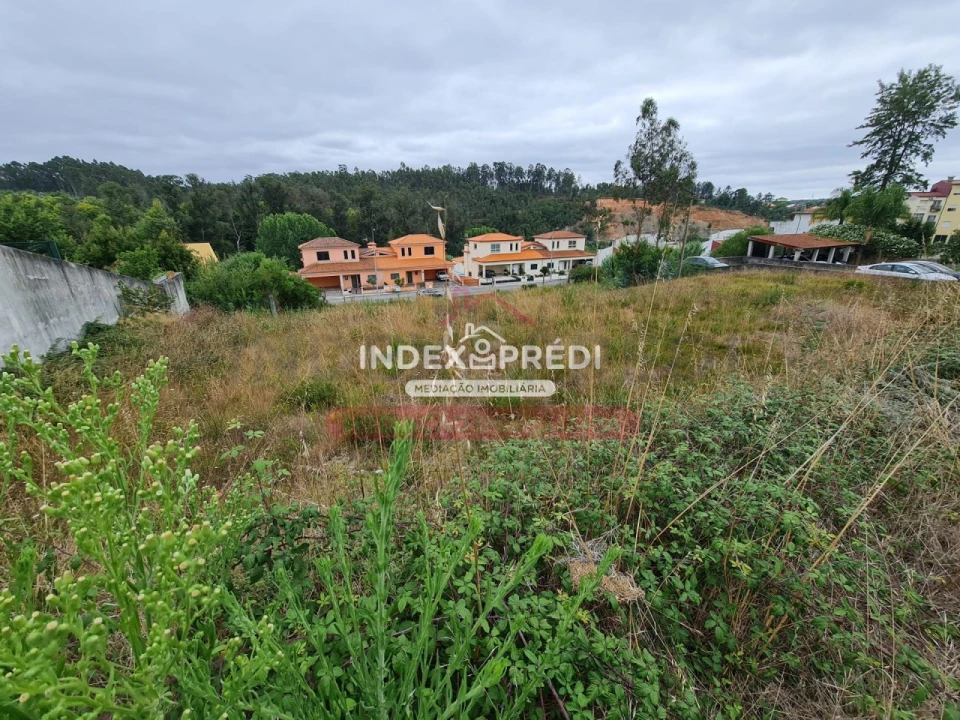 Terreno para Venda em Águeda e Borralha Foto 4