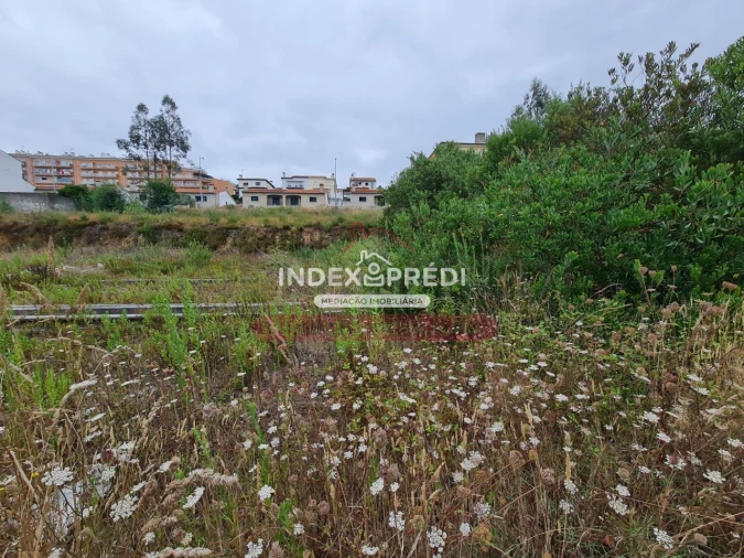 Terreno para Venda em Águeda e Borralha Foto 3