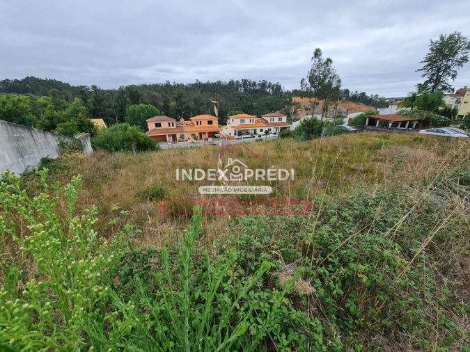 Terreno para Venda em Águeda e Borralha Foto 4