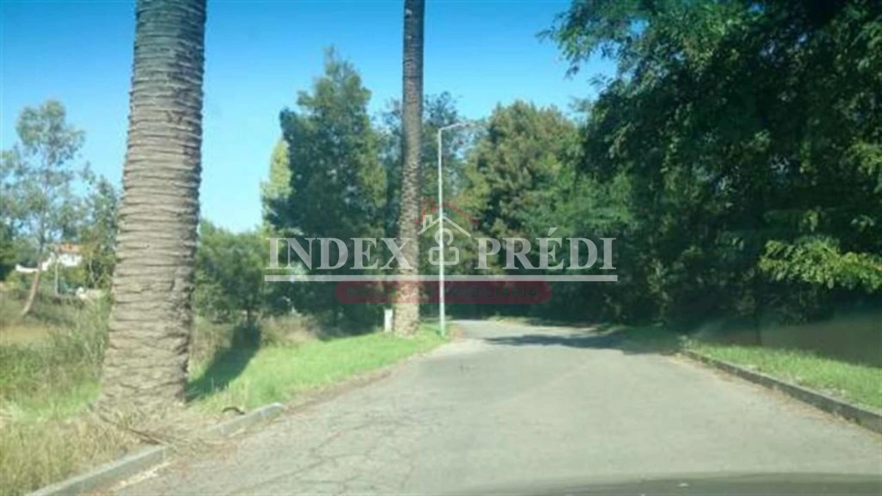 Terreno para Venda em Águeda e Borralha Foto 3