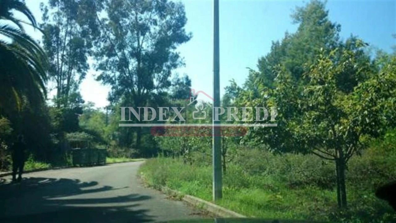 Terreno para Venda em Águeda e Borralha Foto 1