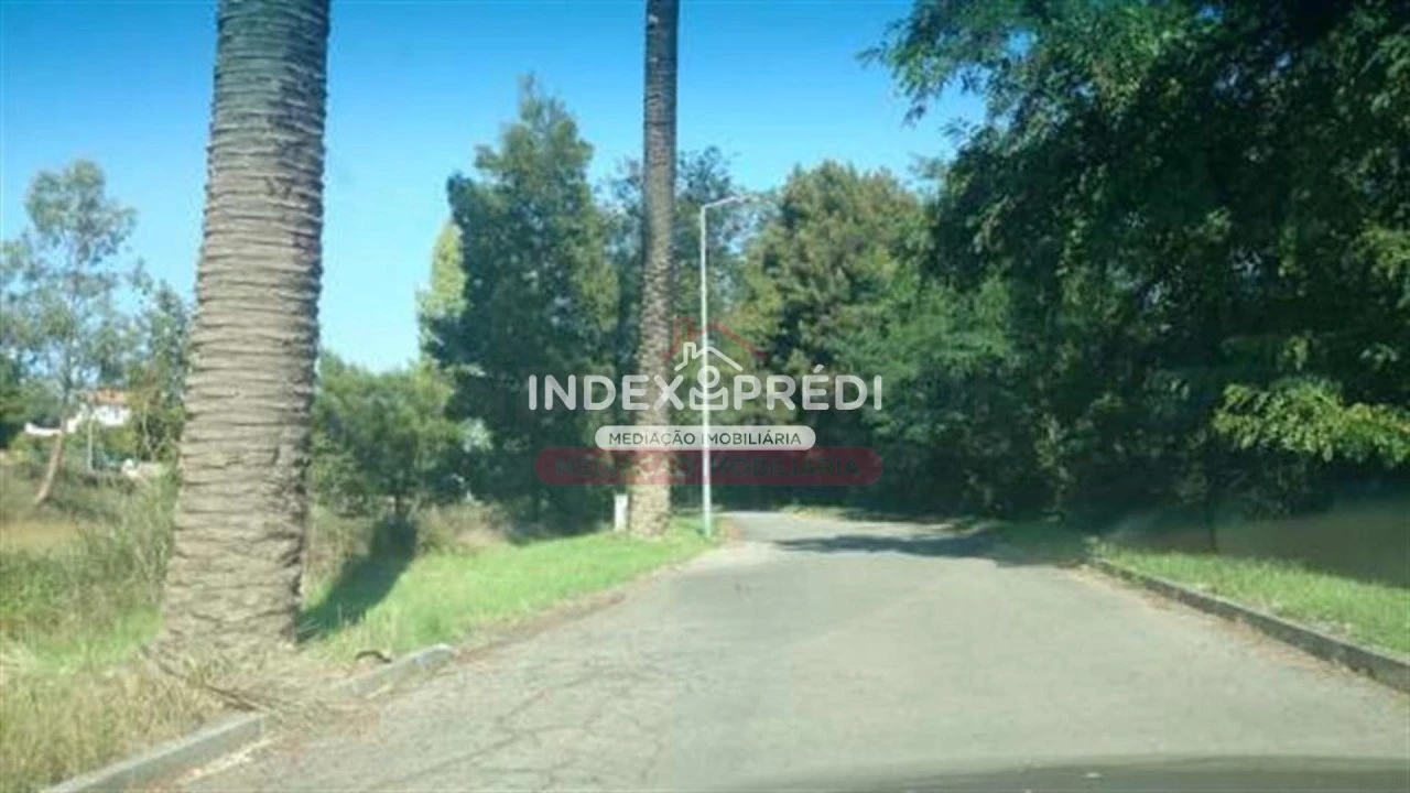 Terreno para Venda em Águeda e Borralha Foto 9