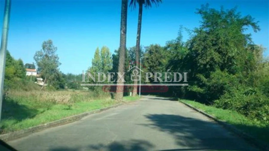 Terreno para Venda em Águeda e Borralha Foto 4