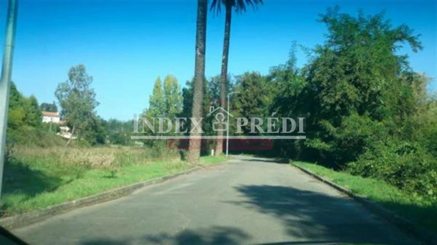 Terreno para Venda em Águeda e Borralha Foto 5