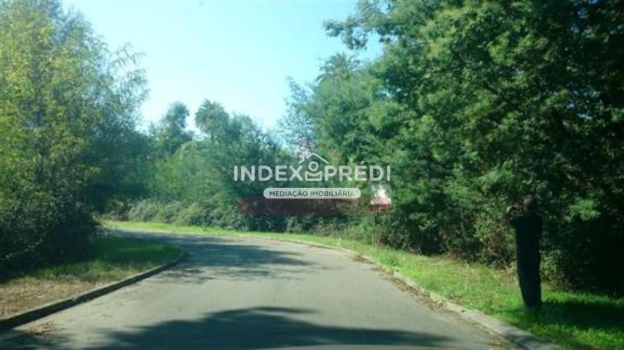 Terreno para Venda em Águeda e Borralha Foto 8