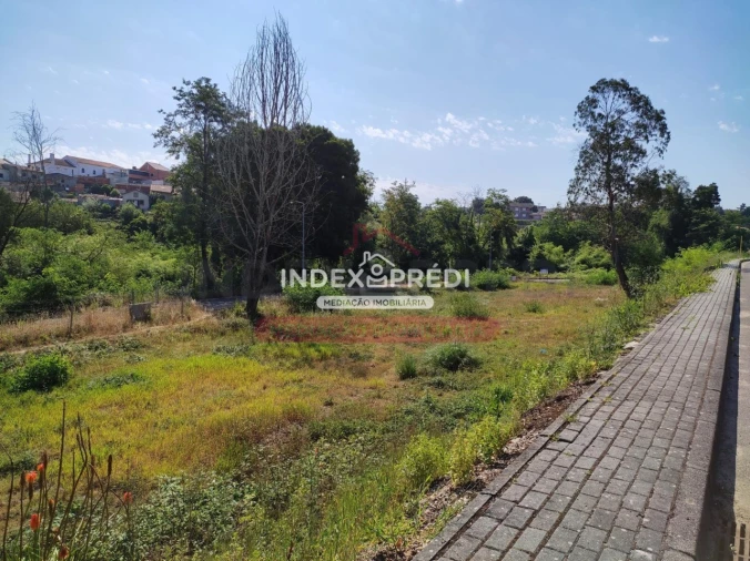 Terreno para Venda em Águeda e Borralha Foto 11