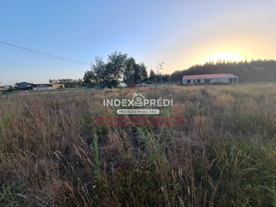 Terreno para Venda em Águeda e Borralha Foto 3