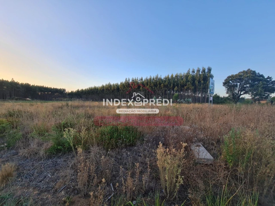 Terreno para Venda em Águeda e Borralha Foto 4