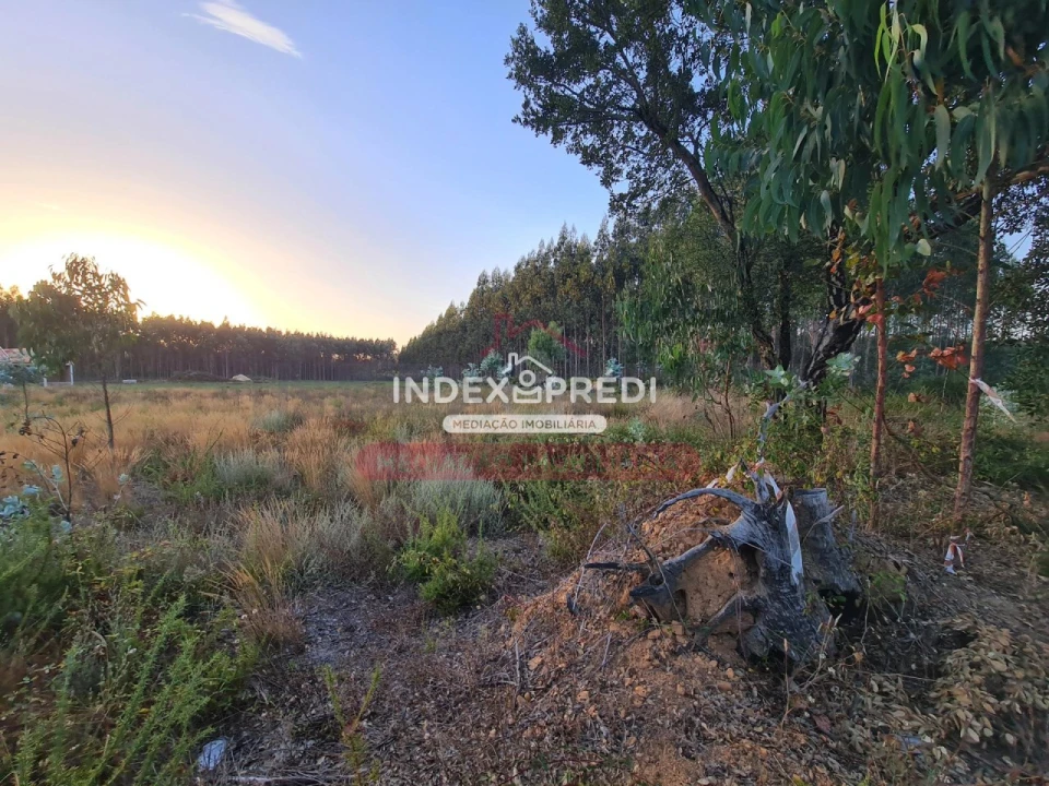 Terreno para Venda em Águeda e Borralha Foto 6