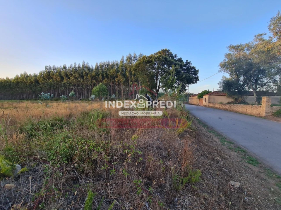 Terreno para Venda em Águeda e Borralha Foto 1