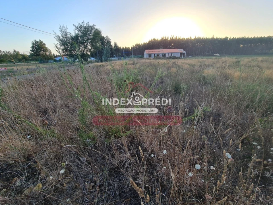Terreno para Venda em Águeda e Borralha Foto 9