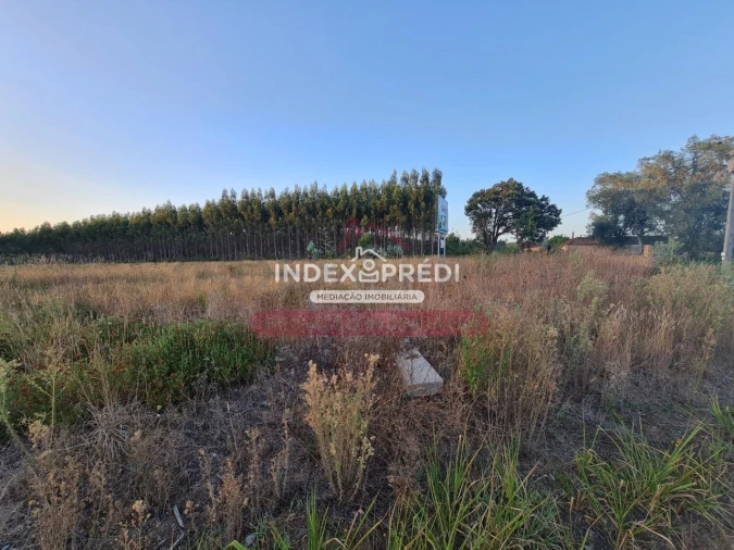 Terreno para Venda em Águeda e Borralha Foto 5