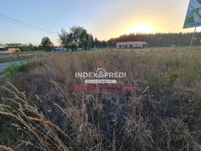 Terreno para Venda em Águeda e Borralha Foto 8