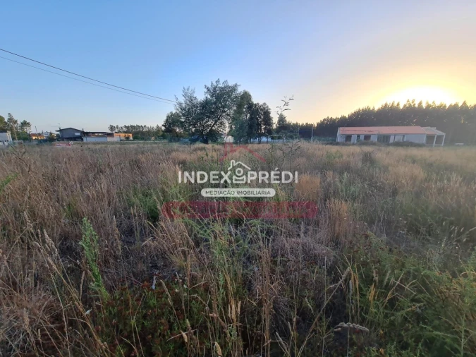 Terreno para Venda em Águeda e Borralha Foto 10