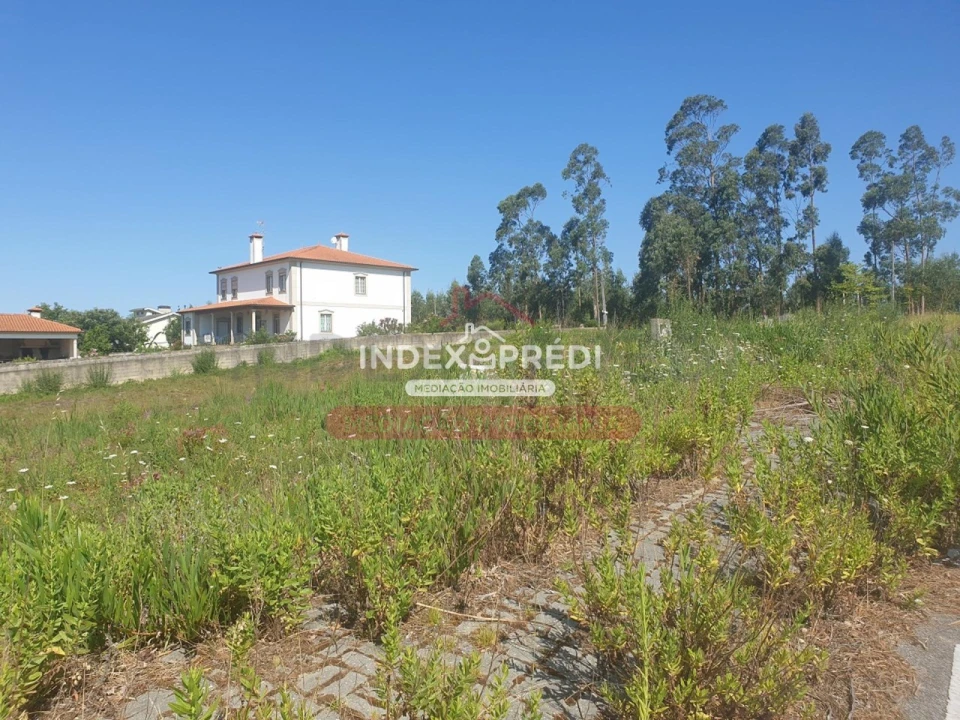 Terreno para Venda em Valongo do Vouga Foto 8