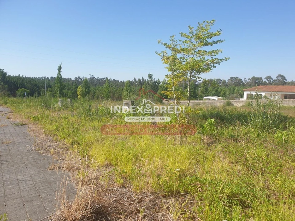 Terreno para Venda em Valongo do Vouga Foto 9