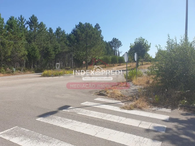 Terreno para Venda em Valongo do Vouga Foto 4