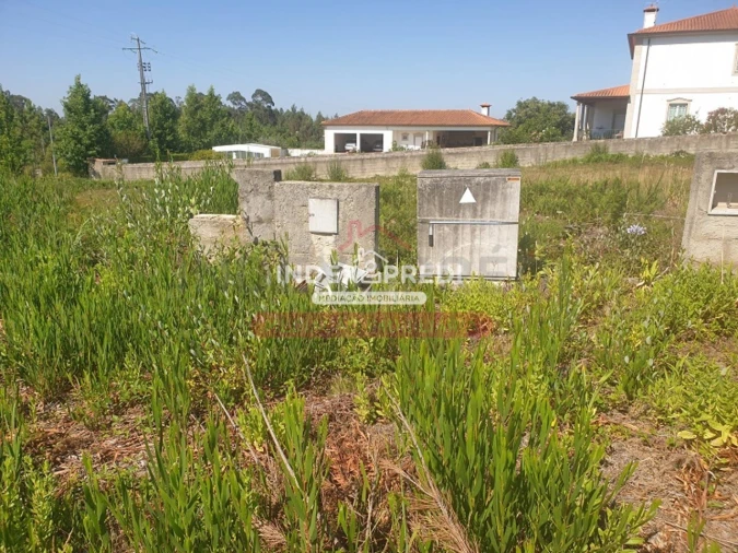 Terreno para Venda em Valongo do Vouga Foto 7