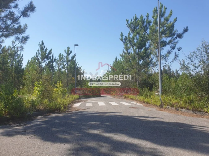 Terreno para Venda em Valongo do Vouga Foto 1