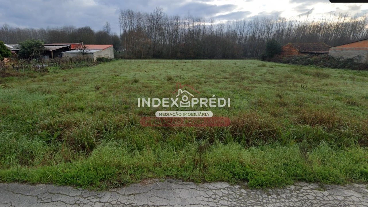 Terreno para Venda em Oliveira do Bairro Foto 1