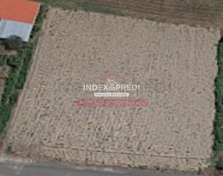 Terreno para Venda em Oliveira do Bairro Foto 2