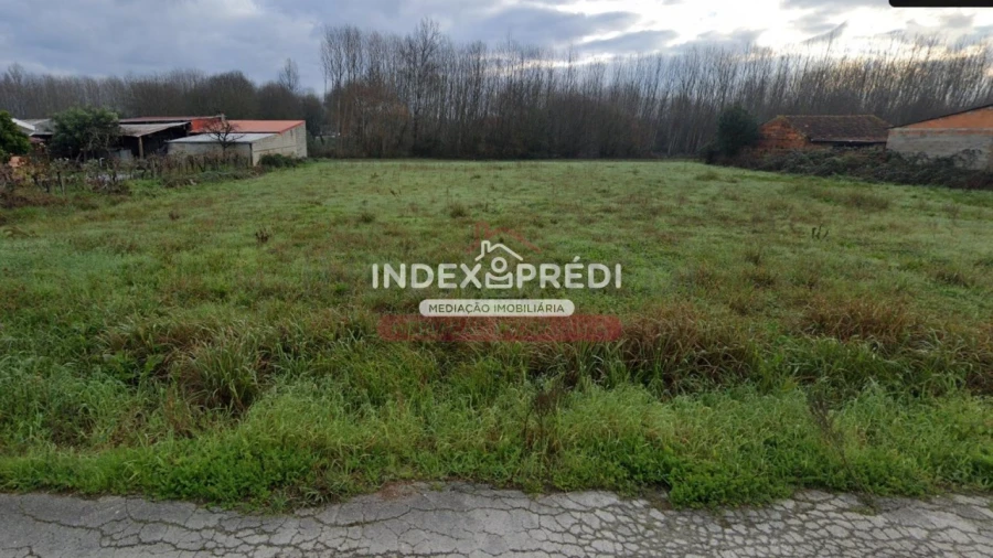 Terreno para Venda em Oliveira do Bairro Foto 1