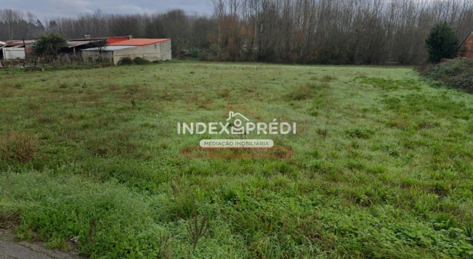 Terreno para Venda em Oliveira do Bairro Foto 3