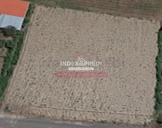 Terreno para Venda em Oliveira do Bairro Foto 5